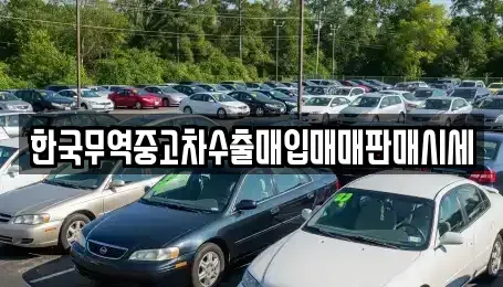 경기도 의왕시 삼동 중고차매매 전문 한국무역중고차수출매입매매판매시세