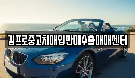 경기도 의왕시 삼동 중고차매입 전문 김프로중고차매입판매수출매매센터