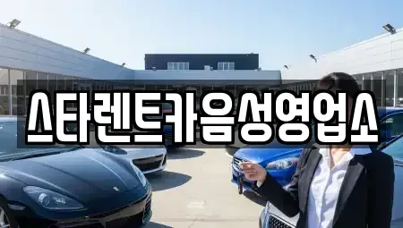 경기도 이천시 장호원읍 렌트카 전문 스타렌트카음성영업소