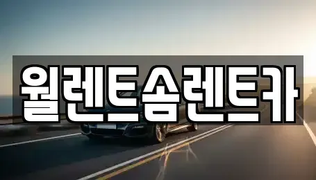 경기도 이천시 장호원읍 렌트카 전문 월렌트솜렌트카