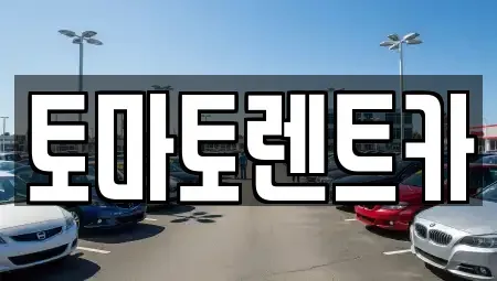 경기도 이천시 장호원읍 렌트카 전문 토마토렌트카