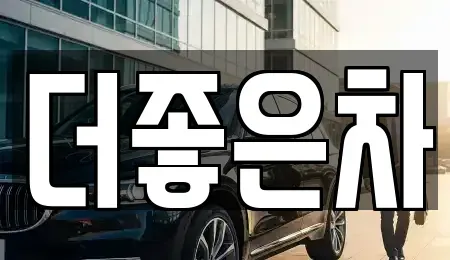 경기도 이천시 장호원읍 중고차 전문 더좋은차