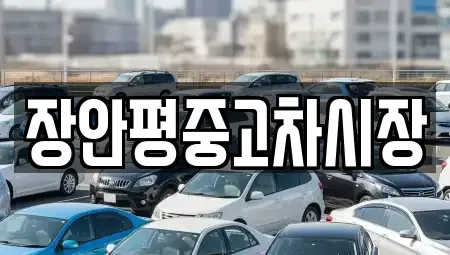 경기도 이천시 장호원읍 중고차 전문 장안평중고차시장