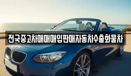 경기도 이천시 장호원읍 중고차매입 전문 전국중고차매매매입판매자동차수출화물차
