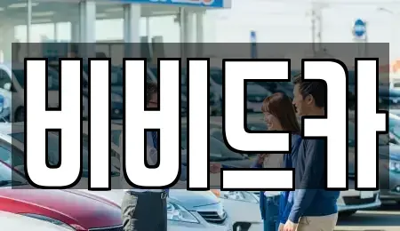 경기도 이천시 중고차 전문 비비드카