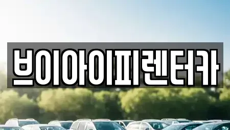 경기도 파주시 산남동 렌트카 전문 브이아이피렌터카