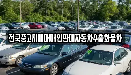 경기도 파주시 산남동 중고차매입 전문 전국중고차매매매입판매자동차수출화물차