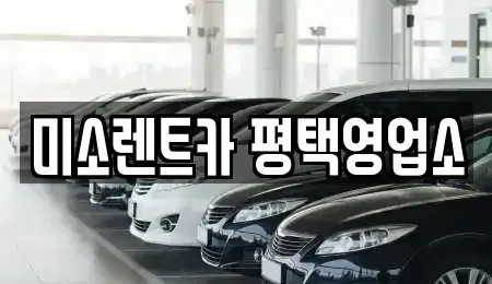 경기도 평택시 렌트카 전문 미소렌트카 평택영업소