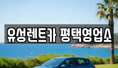 경기도 평택시 렌트카 전문 유성렌트카 평택영업소