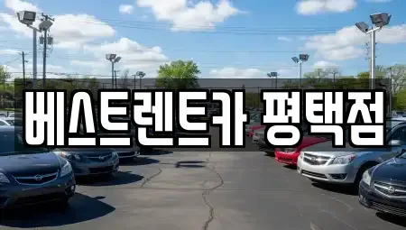 경기도 평택시 신대동 렌트카 전문 베스트렌트카 평택점