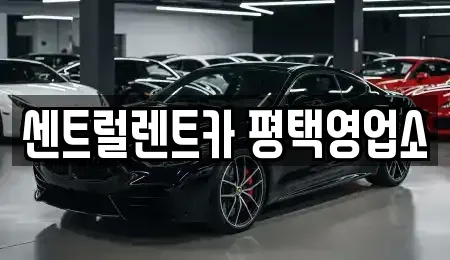 경기도 평택시 신대동 렌트카 전문 센트럴렌트카 평택영업소