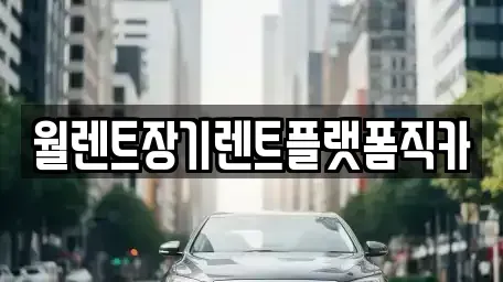 경기도 평택시 신대동 장기렌트카 전문 월렌트장기렌트플랫폼직카
