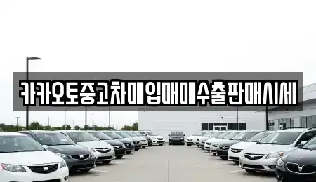 경기도 평택시 신대동 중고차 전문 카카오토중고차매입매매수출판매시세