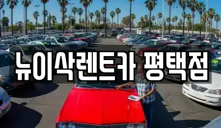 경기도 평택시 장기렌트카 전문 뉴이삭렌트카 평택점