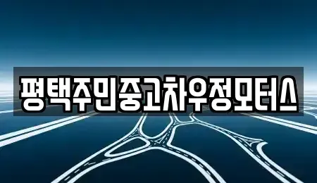 경기도 평택시 중고차 전문 평택주민중고차우정모터스