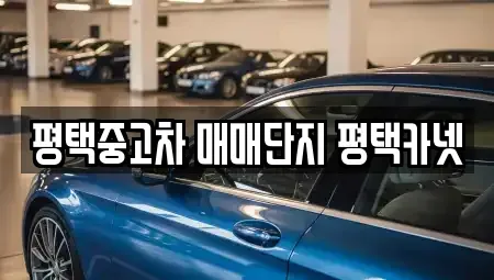 경기도 평택시 중고차 전문 평택중고차 매매단지 평택카넷