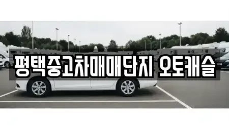 경기도 평택시 중고차 전문 평택중고차매매단지 오토캐슬