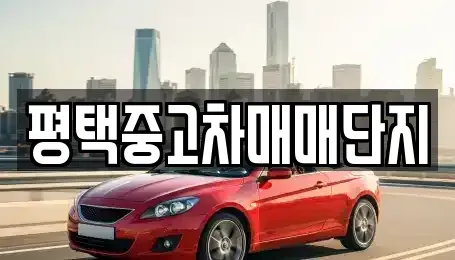 경기도 평택시 중고차 전문 평택중고차매매단지