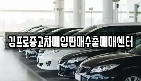경기도 포천시 중고차매입 전문 김프로중고차매입판매수출매매센터