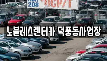 경기도 하남시 덕풍동 렌트카 전문 노블레스렌터카 덕풍동사업장