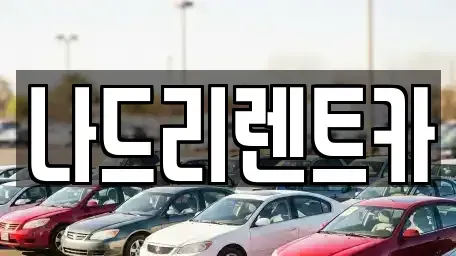 경기도 하남시 덕풍동 장기렌트카 전문 나드리렌트카