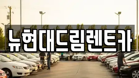 경기도 화성시 우정읍 렌트카 전문 뉴현대드림렌트카