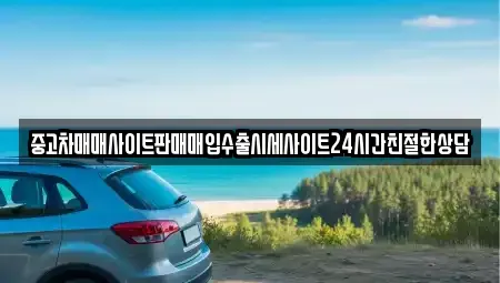 경기도 화성시 황계동 중고차 전문 중고차매매사이트판매매입수출시세사이트24시간친절한상담