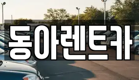 경남 고성군 거류면 렌트카 전문 동아렌트카