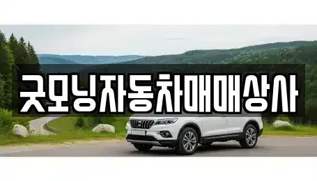 경남 고성군 거류면 중고차매매 전문 굿모닝자동차매매상사