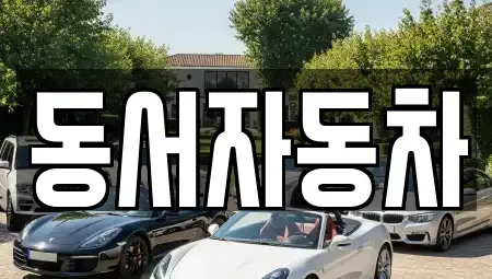 경남 고성군 거류면 중고차매매 전문 동서자동차