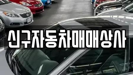 경남 고성군 거류면 중고차매매 전문 신구자동차매매상사