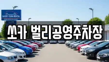 경남 사천시 동금동 렌트카 전문 쏘카 벌리공영주차장