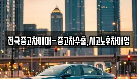 경남 사천시 동금동 중고차 전문 전국중고차매매-중고차수출,사고노후차매입