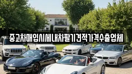 경남 사천시 동금동 중고차매입 전문 중고차매입시세내차팔기견적가격수출업체