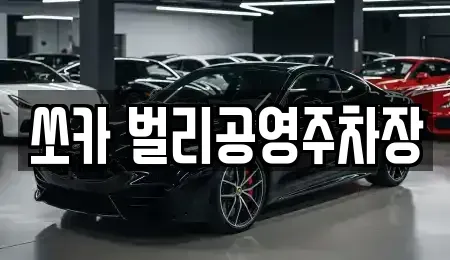 경남 사천시 벌리동 렌트카 전문 쏘카 벌리공영주차장