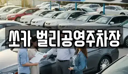경남 사천시 용강동 렌트카 전문 쏘카 벌리공영주차장
