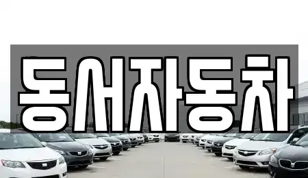 경남 사천시 용강동 중고차 전문 동서자동차