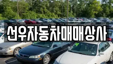 경남 사천시 용강동 중고차 전문 선우자동차매매상사