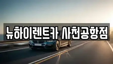 경남 사천시 축동면 렌트카 전문 뉴하이렌트카 사천공항점