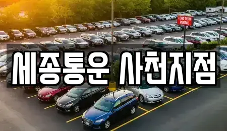 경남 사천시 축동면 렌트카 전문 세종통운 사천지점