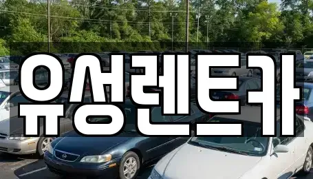 경남 사천시 축동면 렌트카 전문 유성렌트카