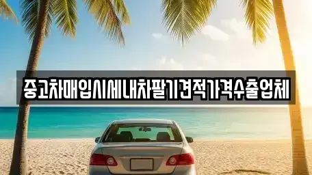경남 사천시 축동면 중고차매입 전문 중고차매입시세내차팔기견적가격수출업체