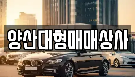 경남 양산시 다방동 중고차 전문 양산대형매매상사