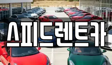 경남 진주시 호탄동 렌트카 전문 스피드렌트카