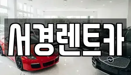 경남 진주시 호탄동 장기렌트카 전문 서경렌트카