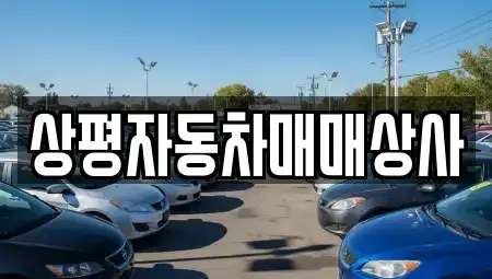 경남 진주시 호탄동 중고차 전문 상평자동차매매상사