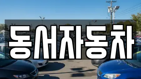 경남 창원시 마산합포구 교방동 중고차매매 전문 동서자동차