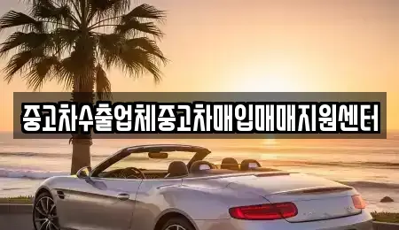 경남 창원시 마산합포구 교방동 중고차매입 전문 중고차수출업체중고차매입매매지원센터