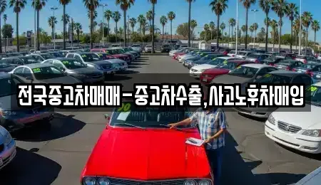 경남 창원시 마산합포구 대성동2가 중고차 전문 전국중고차매매-중고차수출,사고노후차매입