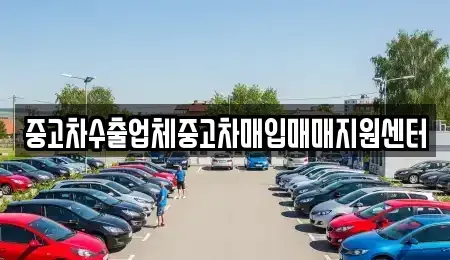 경남 창원시 마산합포구 대성동2가 중고차 전문 중고차수출업체중고차매입매매지원센터